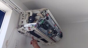 20260923_094304.JPG